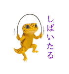 レオパ～な日常（個別スタンプ：24）