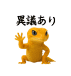 レオパ～な日常（個別スタンプ：31）