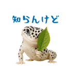 レオパ～な日常（個別スタンプ：34）
