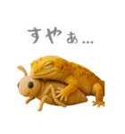 レオパ～な日常（個別スタンプ：36）