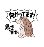 くまとこつめとはりねずみのスタンプ（個別スタンプ：35）