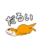 くまとこつめとはりねずみのスタンプ（個別スタンプ：37）