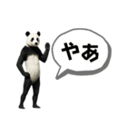 OH！MY パンダの日常（個別スタンプ：23）