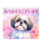 水彩感じるスタンプ シーズー（個別スタンプ：6）