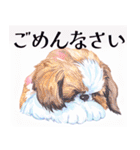 水彩感じるスタンプ シーズー（個別スタンプ：13）