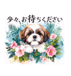 水彩感じるスタンプ シーズー（個別スタンプ：37）