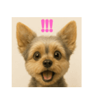 ヨーキーのハッピーさら（個別スタンプ：6）