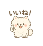 白ポメ＊もふもふ日常スタンプ（個別スタンプ：4）