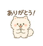 白ポメ＊もふもふ日常スタンプ（個別スタンプ：5）