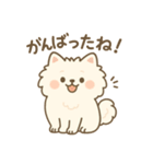白ポメ＊もふもふ日常スタンプ（個別スタンプ：10）