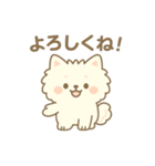 白ポメ＊もふもふ日常スタンプ（個別スタンプ：13）