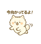 白ポメ＊もふもふ日常スタンプ（個別スタンプ：16）