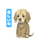 ビーグルの喜怒哀楽スタンプVol.1（個別スタンプ：3）