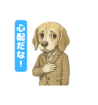 ビーグルの喜怒哀楽スタンプVol.1（個別スタンプ：13）