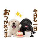 毎日使える！感情豊かなラブラドール（個別スタンプ：5）