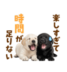 毎日使える！感情豊かなラブラドール（個別スタンプ：7）