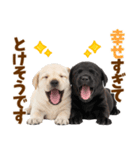 毎日使える！感情豊かなラブラドール（個別スタンプ：8）