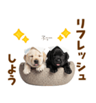毎日使える！感情豊かなラブラドール（個別スタンプ：21）