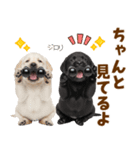 毎日使える！感情豊かなラブラドール（個別スタンプ：23）