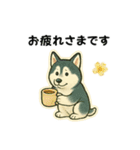 シベリアンハスキー犬のやさしい敬語（個別スタンプ：3）