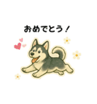 シベリアンハスキー犬のやさしい敬語（個別スタンプ：8）