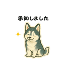 シベリアンハスキー犬のやさしい敬語（個別スタンプ：9）