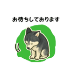 シベリアンハスキー犬のやさしい敬語（個別スタンプ：11）