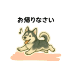 シベリアンハスキー犬のやさしい敬語（個別スタンプ：12）