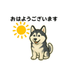 シベリアンハスキー犬のやさしい敬語（個別スタンプ：13）
