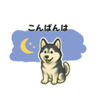 シベリアンハスキー犬のやさしい敬語（個別スタンプ：15）