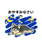 シベリアンハスキー犬のやさしい敬語（個別スタンプ：16）