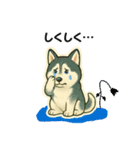 シベリアンハスキー犬のやさしい敬語（個別スタンプ：19）