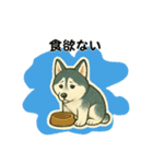 シベリアンハスキー犬のやさしい敬語（個別スタンプ：20）