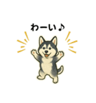 シベリアンハスキー犬のやさしい敬語（個別スタンプ：23）
