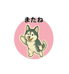 シベリアンハスキー犬のやさしい敬語（個別スタンプ：24）
