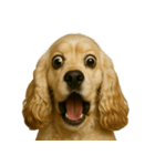 びっくり顔（犬編）Part2（個別スタンプ：1）