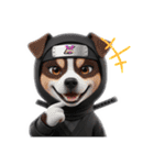 ずーっと使える忍者犬3D（個別スタンプ：2）