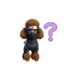 ずーっと使える忍者犬3D（個別スタンプ：37）