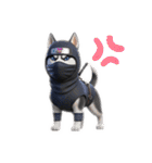 ずーっと使える忍者犬3D（個別スタンプ：39）