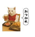 面白にゃんこ(釣り)（個別スタンプ：1）