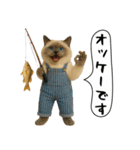 面白にゃんこ(釣り)（個別スタンプ：2）