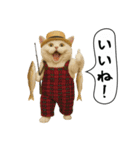 面白にゃんこ(釣り)（個別スタンプ：3）