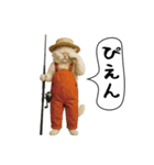 面白にゃんこ(釣り)（個別スタンプ：5）
