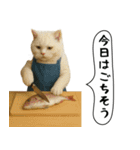 面白にゃんこ(釣り)（個別スタンプ：8）