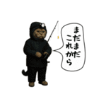 面白にゃんこ(釣り)（個別スタンプ：9）