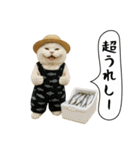 面白にゃんこ(釣り)（個別スタンプ：12）