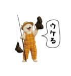 面白にゃんこ(釣り)（個別スタンプ：16）