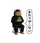 面白にゃんこ(釣り)（個別スタンプ：24）