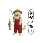 面白にゃんこ(釣り)（個別スタンプ：26）