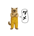 面白にゃんこ(釣り)（個別スタンプ：27）
